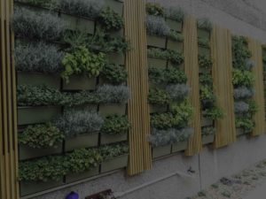 herb wall