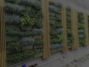 herb wall