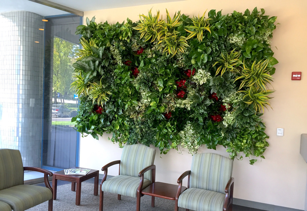 greenleaf-live-walls-kaiser-permanente-1