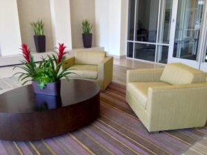 greenleaf ips plants in lobby