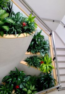 greenleaf ips plants in lobby