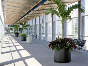 airport bridge plants services