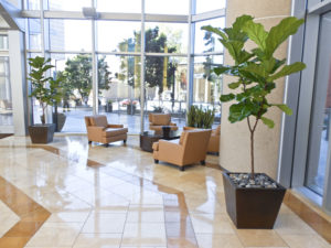 plants services