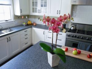 Greenleaf residential plants services