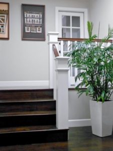 Greenleaf residential plants services