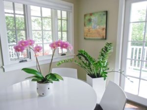 Greenleaf residential plants services
