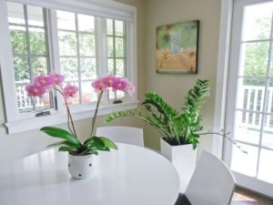 Greenleaf residential plants services