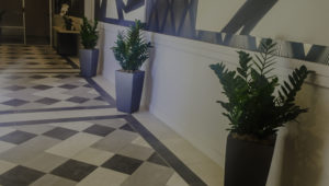lobby commercial plant services