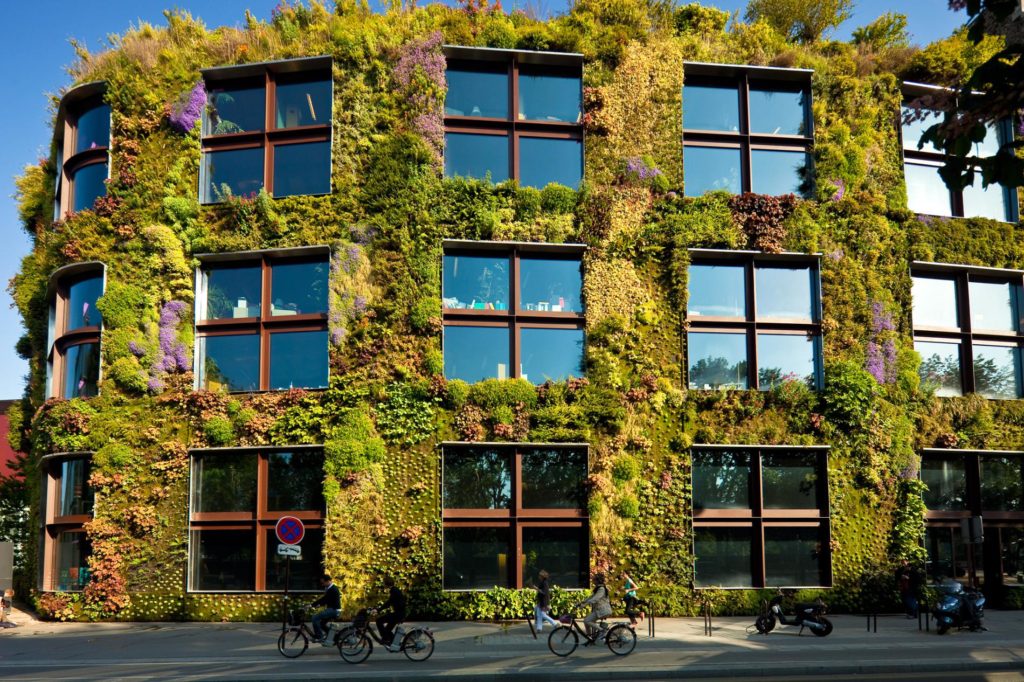 moss wall, living wall, live wall, green wall, plant wall, vertical garden