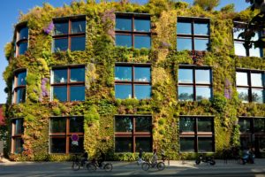 moss wall, living wall, live wall, green wall, plant wall, vertical garden