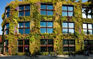 moss wall, living wall, live wall, green wall, plant wall, vertical garden