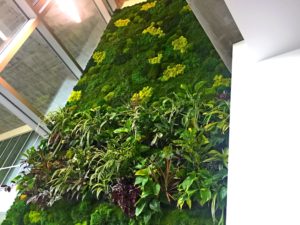 moss wall and a tropical live wall