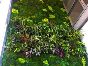 moss wall, living wall, live wall, green wall, plant wall, vertical garden