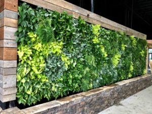 living wall, live wall, green wall, plant wall, vertical garden