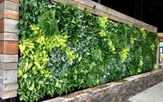 living wall, live wall, green wall, plant wall, vertical garden