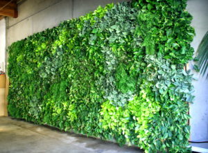 vertical-gardens-san-diego