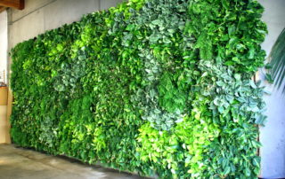 vertical-gardens-san-diego