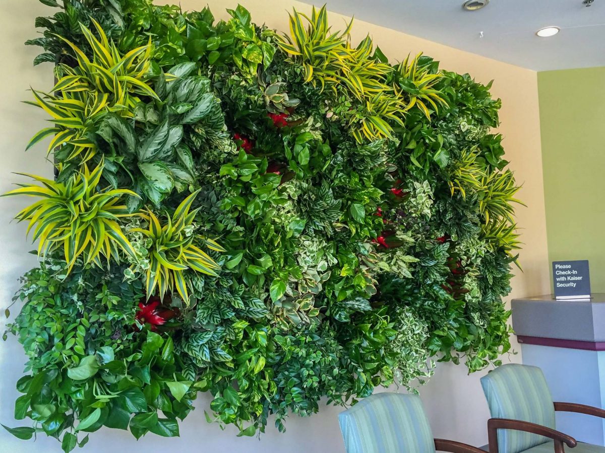 Live Walls in San Diego Greenleaf Interior Plant Solutions