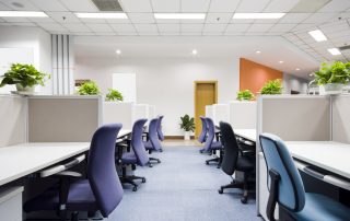 Why do you need plants in your office and home in San Diego?