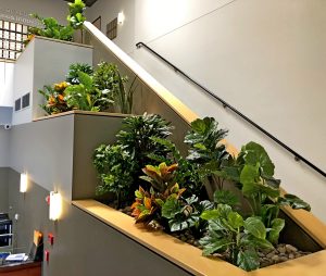 Silk Plants in an Office Space in San Diego, CA