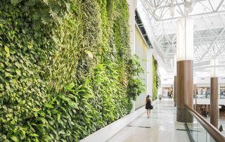 Is a Green Wall more than an aesthetic feature in San Diego