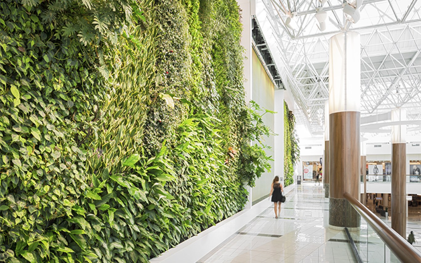 Is A Green Wall More Than An Aesthetic Feature In San Diego