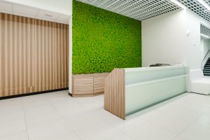 Our Moss Wall Project for Apple