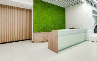 Our Moss Wall Project for Apple