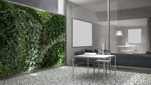 Biophilic Office Design Trends