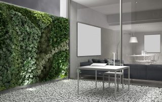 Biophilic Office Design Trends