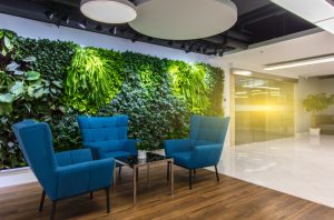 Biophilic Office Design Trends 