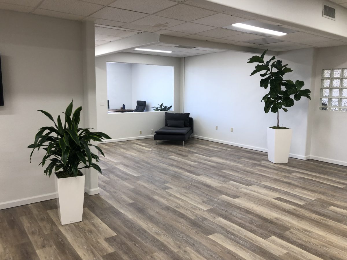 Indoor Plants Help Relieve Stress and Anxiety Plants