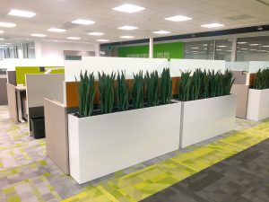 Using Plants to Beautify your Business Space