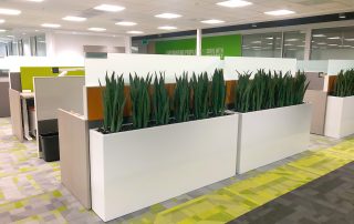 Using Plants to Beautify your Business Space