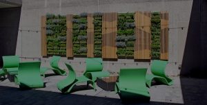 UCSD-Herbs-LiveWall