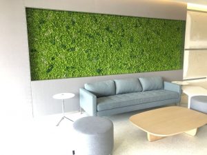 The Unique Design Potential of Moss Walls