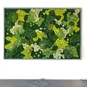 The Unique Design Potential of Moss Walls