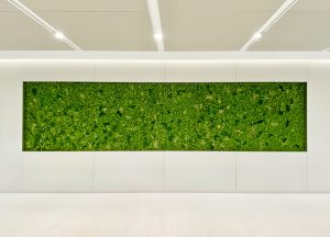 apple-office-moss-wall/