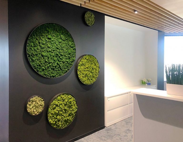 The Ultimate Guide for Moss Walls 2021 Greenleaf IPS Blog