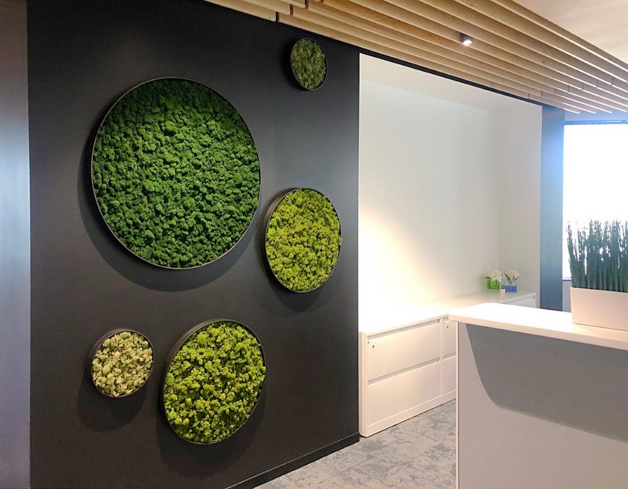 Everything You Need to Know About Moss Walls