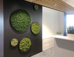 Moss Walls in circular frames