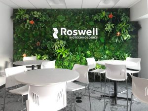Roswell Plant Wall