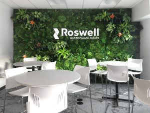 Roswell Plant Wall