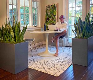 Man in home offfice (Benefits of Adding Plants to Your Home Office)