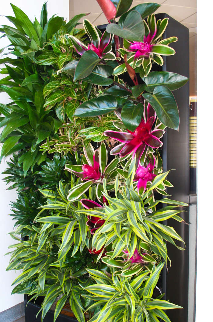 How Plantscaping Can Help Promote Social Distancing