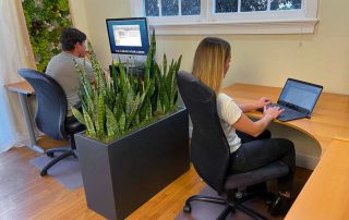 Plants in Home Office