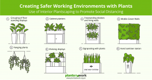 Plantscaping to Promote Social Distancing (LinkedIn)