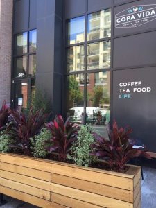 plantscaping coffee shop