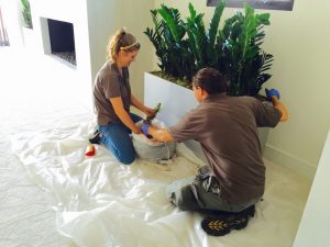 Greenleaf IPS Installing Indoor Plant