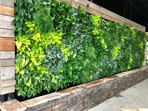 Greenleaf Live Walls